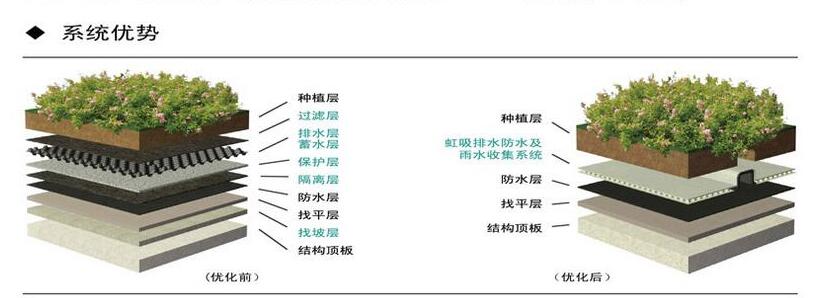 1676960543891596.jpg 2019030516415959.jpg