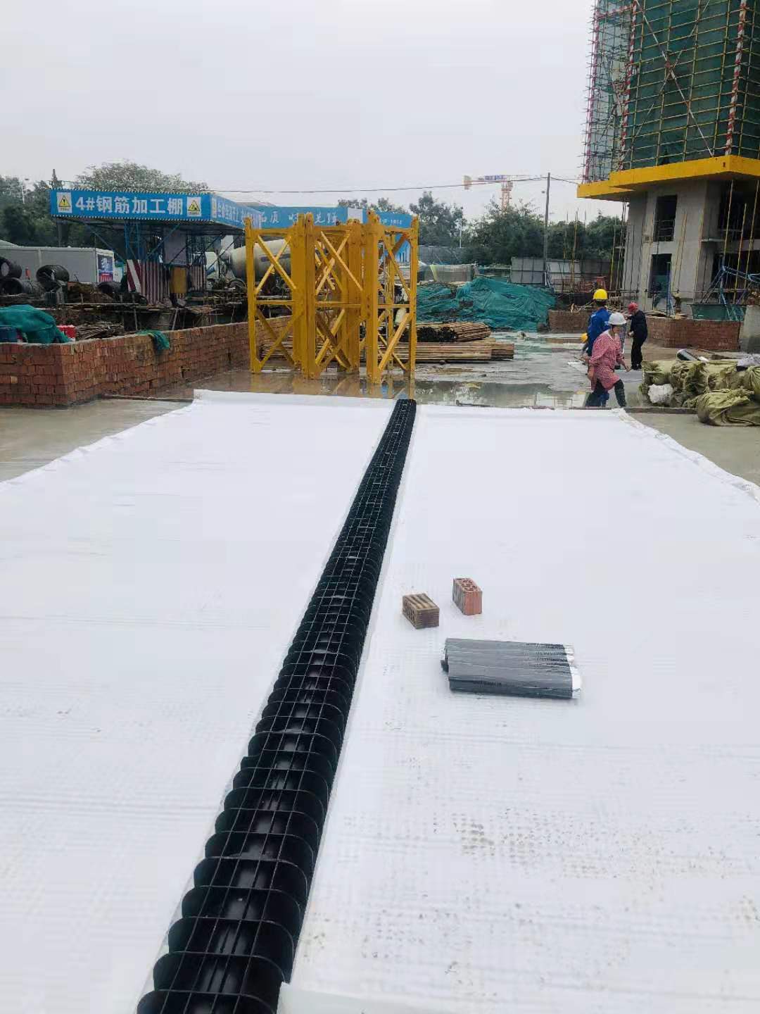 1676961530436652.jpg 3.jpg