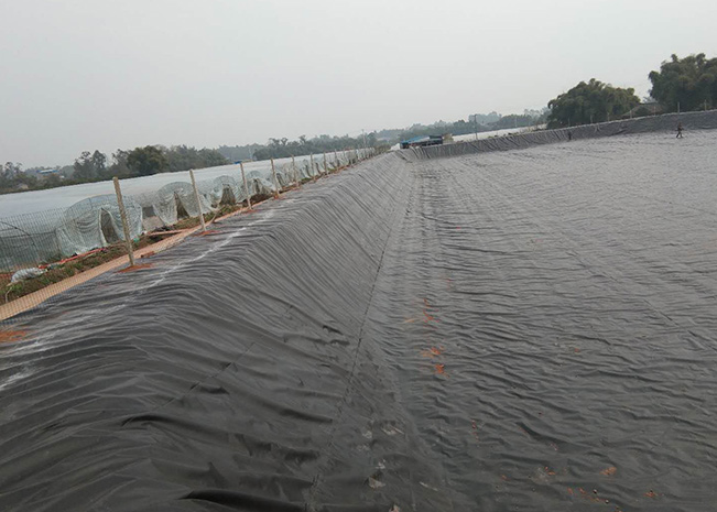 魚(yú)塘土工膜
