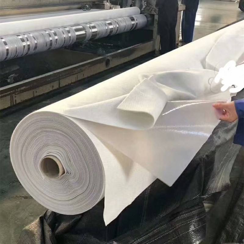 復(fù)合土工膜