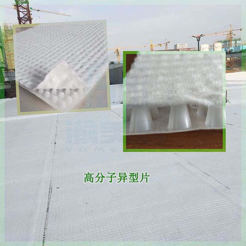 1612234087602875.jpg 高分子異型片.jpg