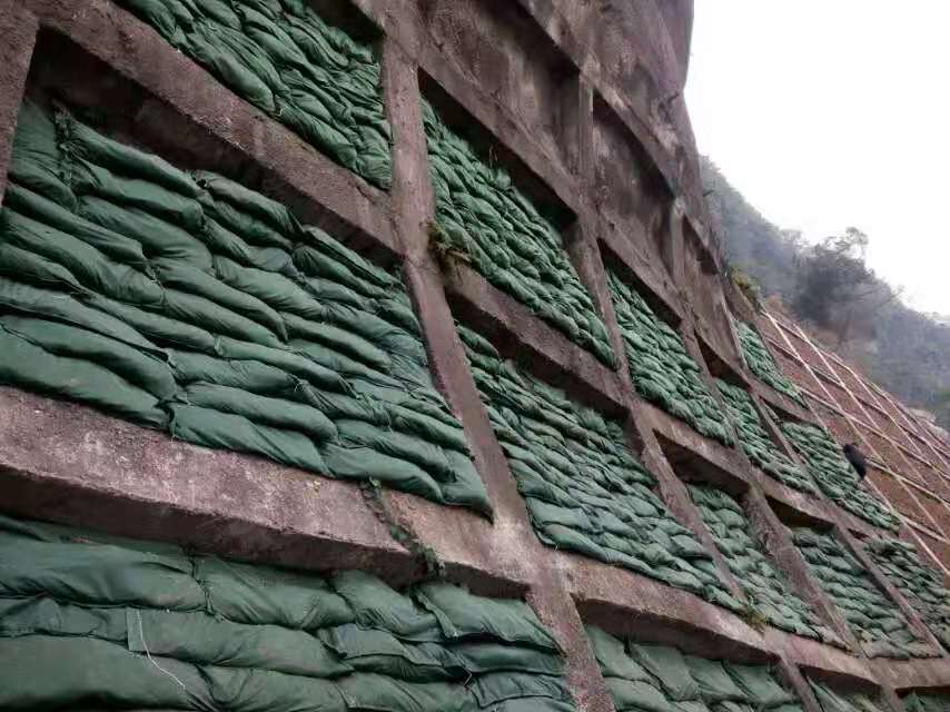 1612253009110918.jpg 4.jpg