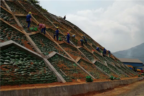 1612253111424637.png 16.png