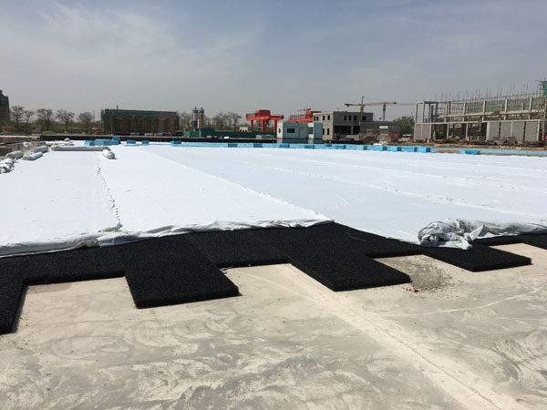 1612315334737005.jpg 1.jpg